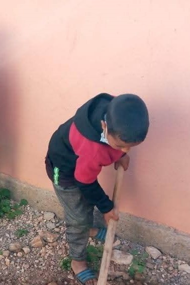 Student digging a hole for a tree